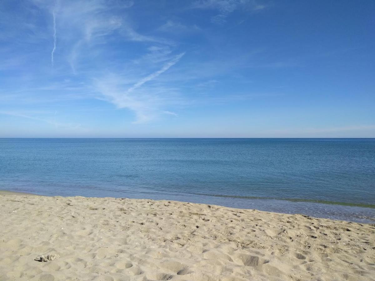 Апартаменти Piso Centrico Y A Pie De Playa. Мартіль Екстер'єр фото